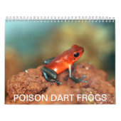 Giftpfeil-Froschkalender Kalender (Titelbild)