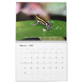 Giftpfeil-Froschkalender Kalender (Feb 2027)