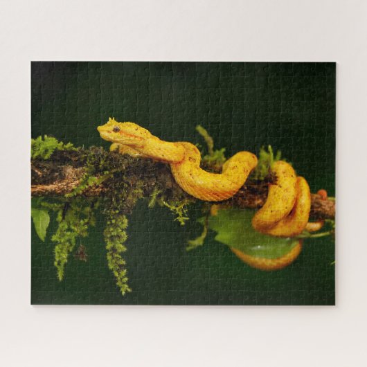 Giftschlange aus Costa Rica Puzzle (Horizontal)