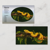 Giftschlange aus Costa Rica Visitenkarte (Vorne/Hinten)