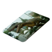 Giganotosaurus Dinosaur Flexible Magnet (Linke Seite)