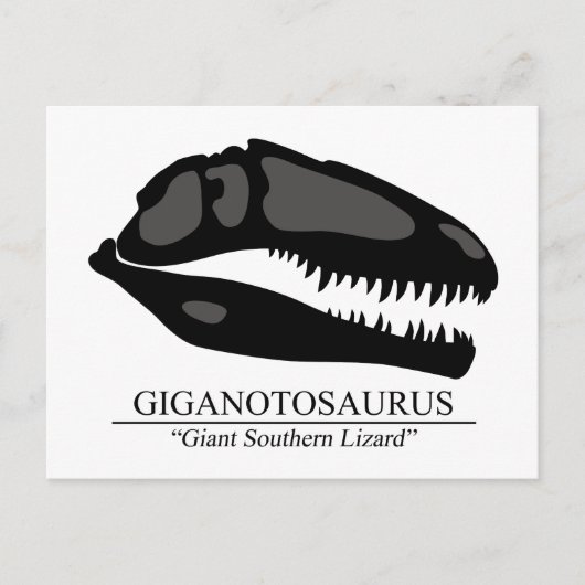Giganotosaurus Skull Postkarte (Vorderseite)