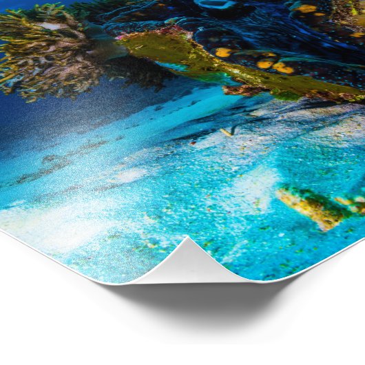 Gigant Clam Foto Print (Ecke)