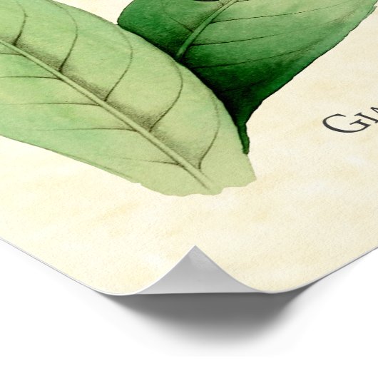 Gigant Hummingbird Art Print Poster (Ecke)