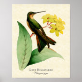 Gigant Hummingbird Art Print Poster (Vorne)