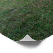 Gigant/Lord Derby's Eland-young bull Poster (Ecke)