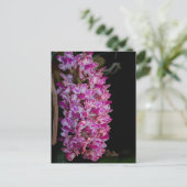 Gigantea-Orchid Postkarte (Stehend Vorderseite)