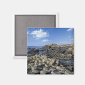Giganten Causeway, Landkreis Antrim, Nord Magnet (Vorderseite/Rückseite)