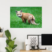 Gigantic Red Fox Poster (Heimbüro)