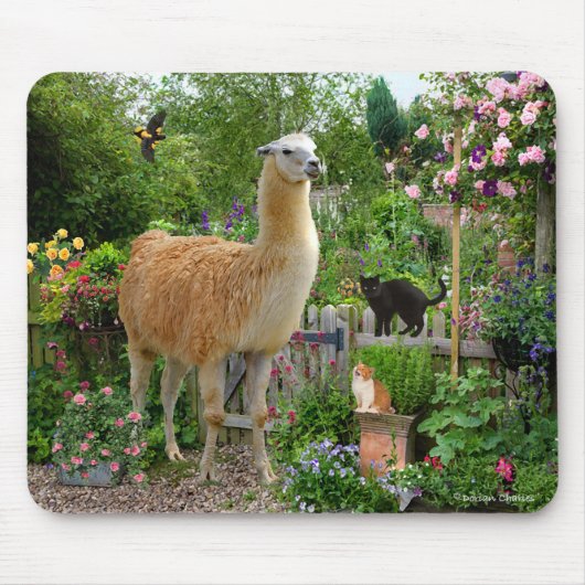 "Gigi das Lama" Mousepad (Vorne)
