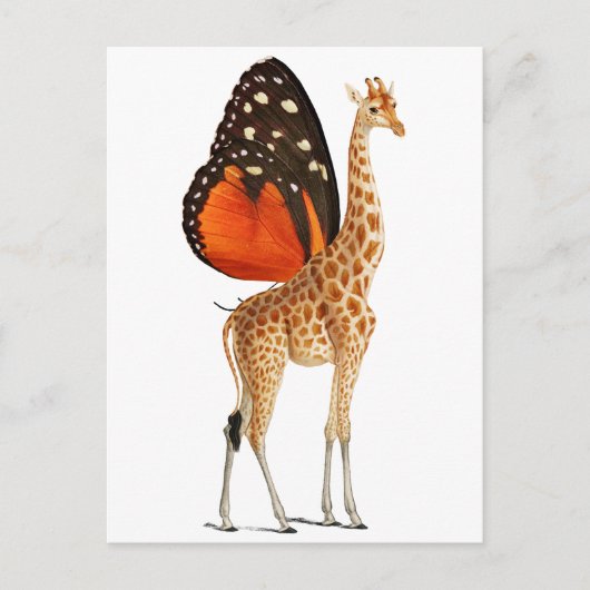 Gigraffe Postkarte (Vorderseite)