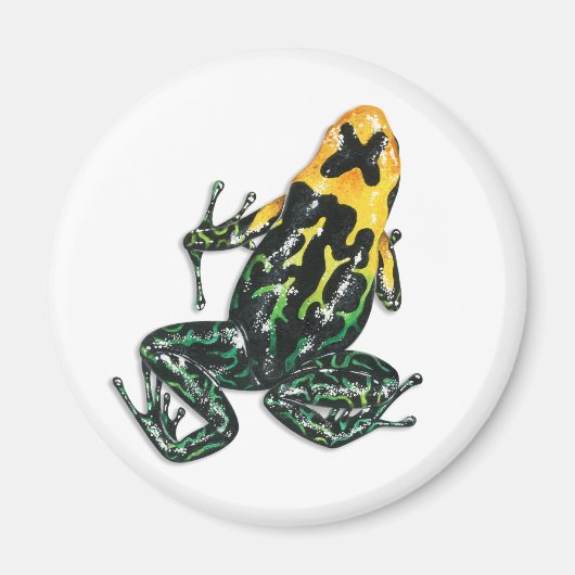 Giison Dart Frog Magnet (Vorne)