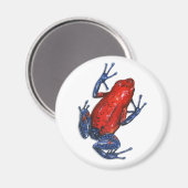Giison Dart Frog Magnet (Vorderseite/Rückseite)