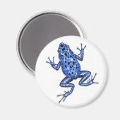 Giison Dart Frog Magnet (Vorderseite/Rückseite)