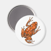 Giison Dart Frog Magnet (Vorderseite/Rückseite)