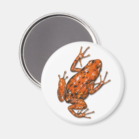 Giison Dart Frog Magnet (Vorderseite/Rückseite)
