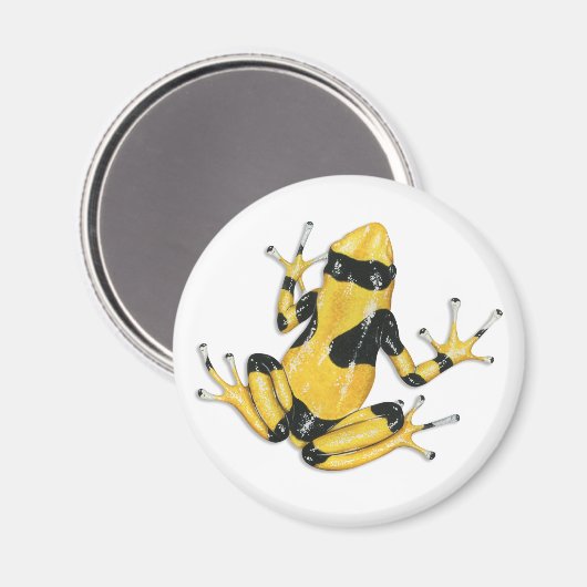 Giison Dart Frog Magnet (Vorderseite/Rückseite)