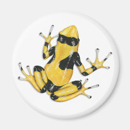 Giison Dart Frog Magnet