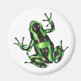 Giison Dart Frog Magnet