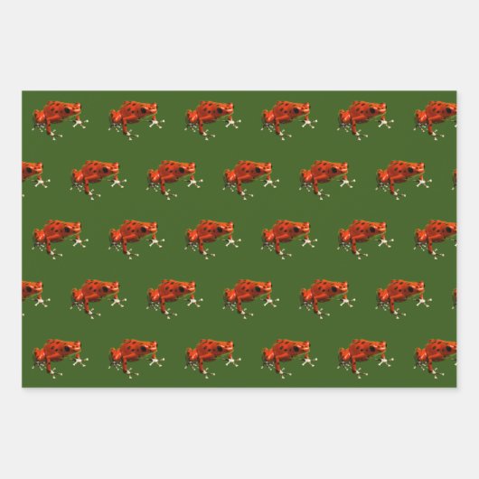Giison Dart Frogs Geschenkpapier Set (Vorderseite 2)