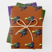 Giison Dart Frogs Geschenkpapier Set (Beispiel)