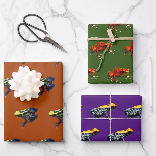 Giison Dart Frogs Geschenkpapier Set (Vorderseite)
