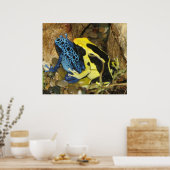 Giison Dart Frogs Poster (Küche)