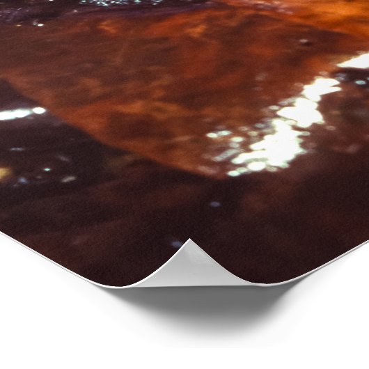 Giison Dart Frogs Poster (Ecke)