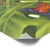 Giison Dart Frogs Poster (Ecke)