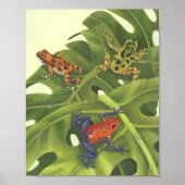Giison Dart Frogs Poster (Vorne)