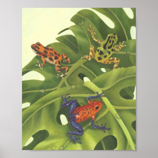 Giison Dart Frogs Poster (Vorne)