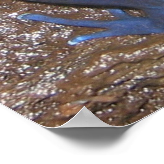 Giison Dart Frogs Poster (Ecke)