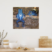 Giison Dart Frogs Poster (Küche)