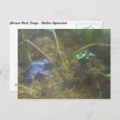 Giison Dart Frogs Postkarte (Vorne/Hinten)