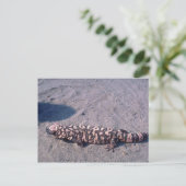Gila Monster Lizard Postkarte (Stehend Vorderseite)