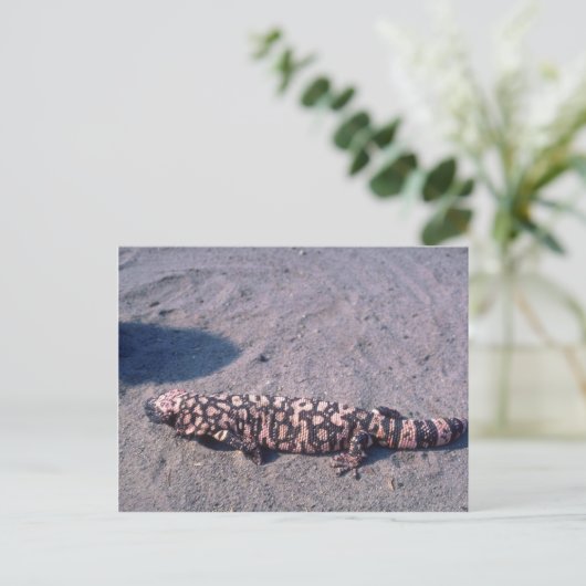 Gila Monster Lizard Postkarte (Stehend Vorderseite)