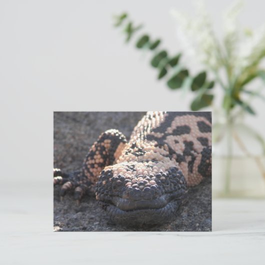 Gila Monster Postkarte (Stehend Vorderseite)