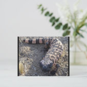 Gila Monster Postkarte (Stehend Vorderseite)