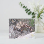Gila Monster Postkarte (Stehend Vorderseite)