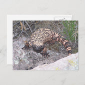 Gila Monster Postkarte (Vorne/Hinten)