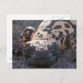 Gila Monster Postkarte (Vorne/Hinten)