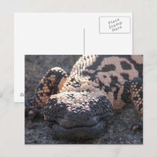 Gila Monster Postkarte (Vorne/Hinten)