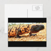 Gila-Monster-Postkarte Postkarte (Vorne/Hinten)