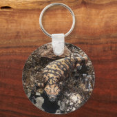 Gila Monster Schlüsselanhänger (Vorderseite)