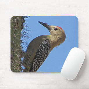 Gila-Specht-Kaktus-Wüsten-Vogel-Wildlife-Foto Mousepad