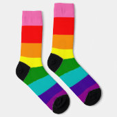 Gilbert Baker Pride Rainbow Striped LGBT Socken (Rechts)