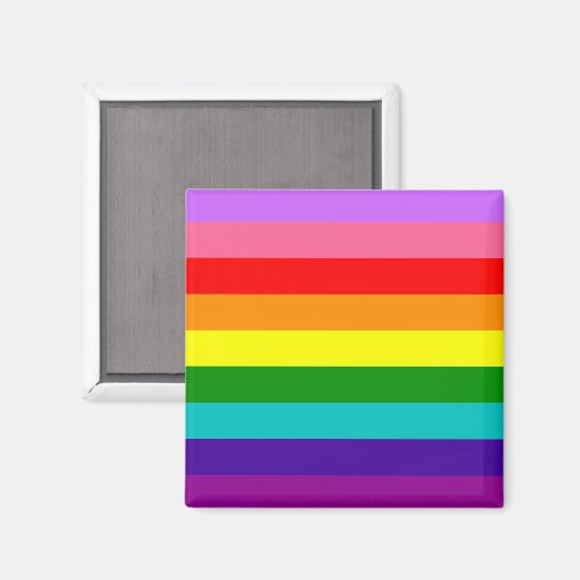 Gilbert Baker’s 9-Stripe Rainbow Flag  Magnet (Vorderseite/Rückseite)