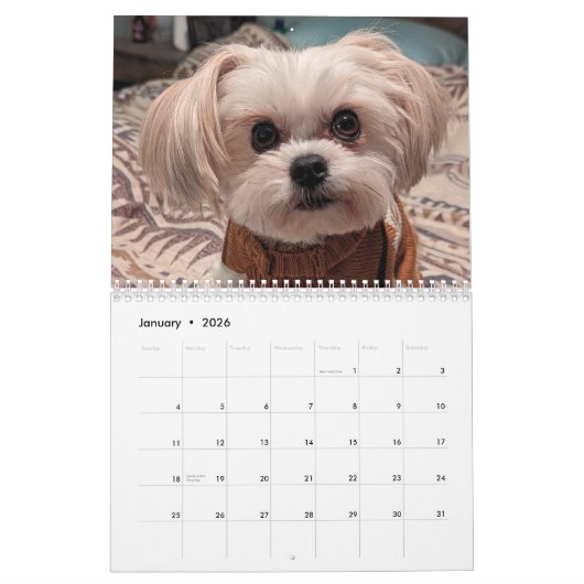 Gilbert Calendar 2025 Kalender (Jan 2026)