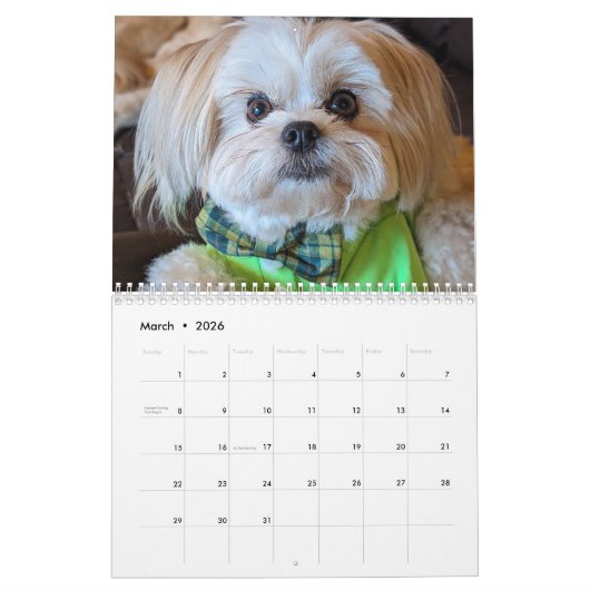 Gilbert Calendar 2025 Kalender (Mär 2026)