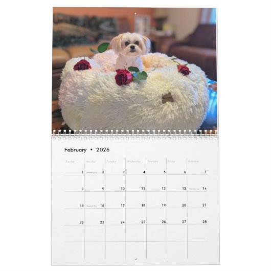 Gilbert Calendar 2025 Kalender (Feb 2026)